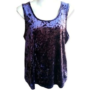 Chances R velvet top size XL